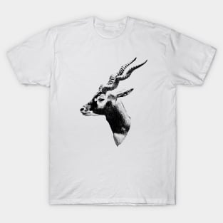 Blackbuck T-Shirt